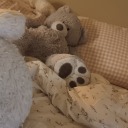 shinyboomboom avatar