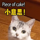 shinycollectiondreamer avatar