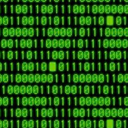 shinycollectorperson23 avatar