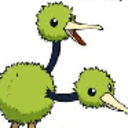 shinydoduo avatar