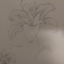 shinyemerald123 avatar