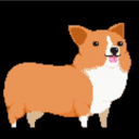 shinyfunguszone avatar