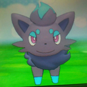 shinyhunteraya avatar