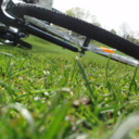 shinylikeaspoon avatar