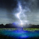 shinynewwriting avatar