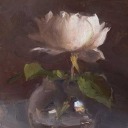 shinyponysludgefish avatar