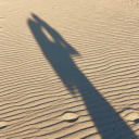 shinywinnerhumanfriend avatar