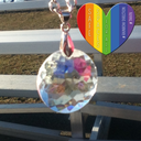 ship-compass-love avatar