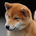 ship-hoarder-blog avatar