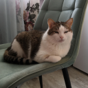 ship-to-w-r-e-c-k avatar