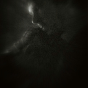 shiplovinglyalways avatar