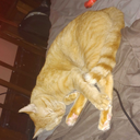 shipostbutyoudontknowme avatar