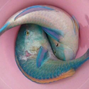 shipper-in-the-hood avatar