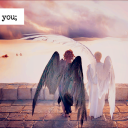 shipper-of-all-things avatar