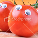 shippernotmighty avatar