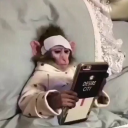 shippersonfire avatar