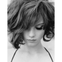 shipping-an-armada avatar