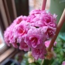 shipping-book-keeper avatar