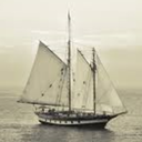 shipping-by-numbers avatar