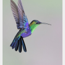 shipping-tonight-tommorow-and avatar