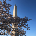 shippingerror1091 avatar