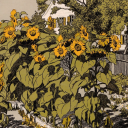 shippingshipping avatar