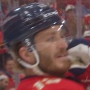 shippingthehighseas avatar