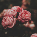 shipsandstufff avatar