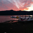 shipstomahalland avatar