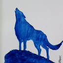 shiptobeaconhills avatar