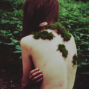 shipwrecksoul-blog-blog avatar