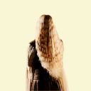 shirehobbit avatar