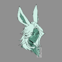 shirendipitously avatar