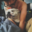 shit-always-hits-you avatar