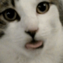 shit-shit-shit-fuck-blog avatar