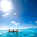 shithands-has-a-blog avatar