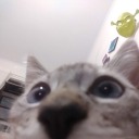 shithisishard avatar