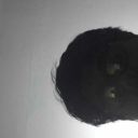 shitkcuf avatar