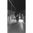 shitlivesworld avatar