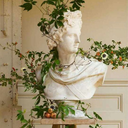 shitofsociety avatar