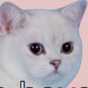 shitpostmortem-blog avatar