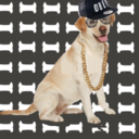 shitsquad-says avatar