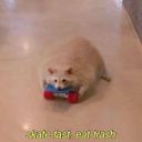 shittyblogfromashittyperson avatar