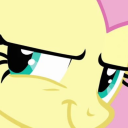 shittymlpdetails avatar