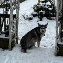 shittyoudidntneedtoknow avatar