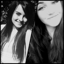 shivelight-and-honeyfur-blog avatar