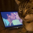 shiwasneverhere avatar