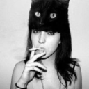 shmelessnights avatar