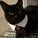 shock-and-aweee avatar