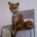 shoe-string-theory-blog avatar